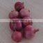 2015 Crop Fresh Red Onion for Sale With Cheap Price From China