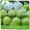Chinese green bulk su pear