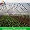 Simple Polytunnel Greenhouse