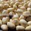 peanuts