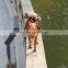 mini perfect petzzz small plastic camel figurines toy