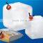 LDPE Collapsible water bag with 5L for outdoor activity