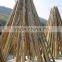 bamboo sticks pole shape for plant tree nursery support