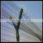 high quality BTO-22 concertina razor wire / CBT-65 concertina razor wire