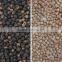 Hot selling nut processing color sorter in with new system