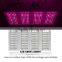 Best Price of High Intesity High Lumens Output 300w Led Grow Light for Plants Grow
