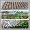 uv coated pc polycarbonate corrugated sun sheet