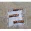 Solid Fuel Tablet