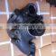 Truck Diesel Engine Water Pump Parts 8113522