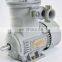 Siemens 1MB0061  explosion proof motor  0.55~315KW 380V/660V IP55  three phase induction AC motor Exd IIB T4 Gb IC411