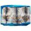 High quality frozen Todarodes squid fish fillet block