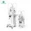 Factory hot sale kryolipolyse 4 cryo handles kryolipolise korean cryolipolysis machine in stock