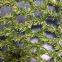 Wholesale high quality 70g Aerial photo camouflage net shade plastic Car Drop Hunting Cover For Military Photography Camp