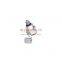 Wholesale CNHTC SITRAK MAN MC11/MC13 Motor Accessories 202V98181-0004 Transition Fitting