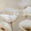 new arrival Modern art Flower oil painting