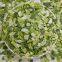 Organic freeze dried leek