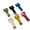 Factory supply Key shape USB stick