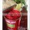 Factory supply high concentrated 70g-3KG CANNED TOMATO PASTE