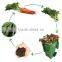 Using plant remains to produce organic fertilizer