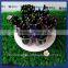 China Factory Direct sell acrylic pen holder / Rotating Style acrylic pen display rack