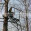 1 people outdoor wholesale hunting ladder tree stands