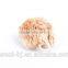 2015 pet products Automatic Shaking Mouse cat Toy