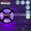 NEW PRODUCT 12V 5050 RGB 60 LED/M IP68 FULL WATERPROOF LED STRIP LIGHT                        
                                                Quality Choice