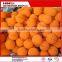 Putzmeister DN125 cleaning sponge ball for sany schwing concrete pump spare parts