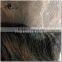 popular brazilian human hair full lace wig, top grade brazilian human hair wigs