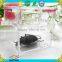 Magnifier toy;transparent square box design ;small portable insect magnifier