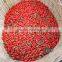 2015 NingXia ZhongNing certified dried fresh goji bery