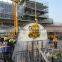 Glass curtain wall vacuum lifter
