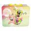 2016 new Tin Lunch Boxes for kids
