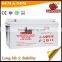 HIGH Capacity factory price 12v 100ah maintenance free electric battery car battery