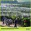 Factory Direct Sale Anti Bird Netting Purchase
