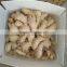 Old Ginger Variety and EXPORT Certification GINGER MATURED 9 MONTHS OLD