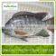 Frozen Tilapia Fillet Fish Wholesale Price