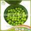 for Russia China Canned Green Peas Pea