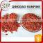 Chinese wolfberry dried goji berries