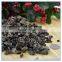 Chinese dry black fungus cholesterol extract wood ear mushroom on wood