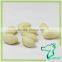 High Quality Peanuts Kernels Best Selling