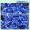 2016 Top Quality Real Touch Blue Wholesale Preserved Flower Hydrangea for Wedding Decoration
