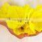 Plant oil extraction industries evening primrose essentical oil for female