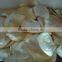 Wholesale polished white yellow mother of pearl raw shells