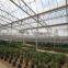 PC Sheet / Polycarbonate Greenhouse for flower growing