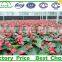 agriculture one stop gardens greenhouse parts manufacturer