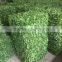 artificial plant Best price artificial boxwood hedges wall