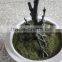 man made resin craft artificial led light bulb potted tree
