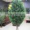 wholesale artificial olive tree , green bonsai olive tree