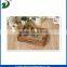 Pure handmade wooden tray with lowest price